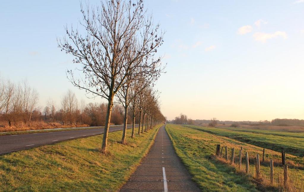 3.1.2 Lokaal ophogen fietspad Op een deel van het dijktraject ligt een fietspad op het binnentalud van de dijk. De locatie van het fietspad varieert.