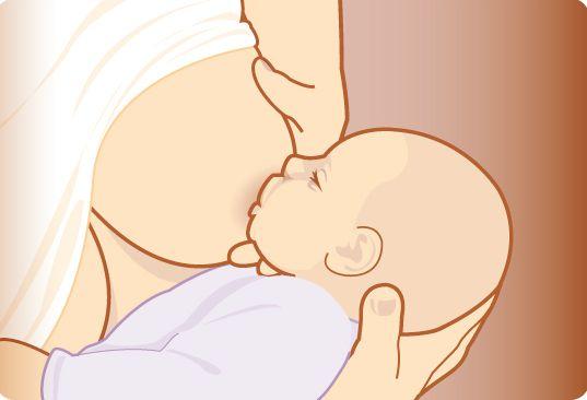 Afbeelding 2: rugbyhouding borstvoeding geven De bakerhouding/rugbyhouding: het lichaam van uw kindje wordt ondersteund door uw arm en uw arm wordt gesteund door een