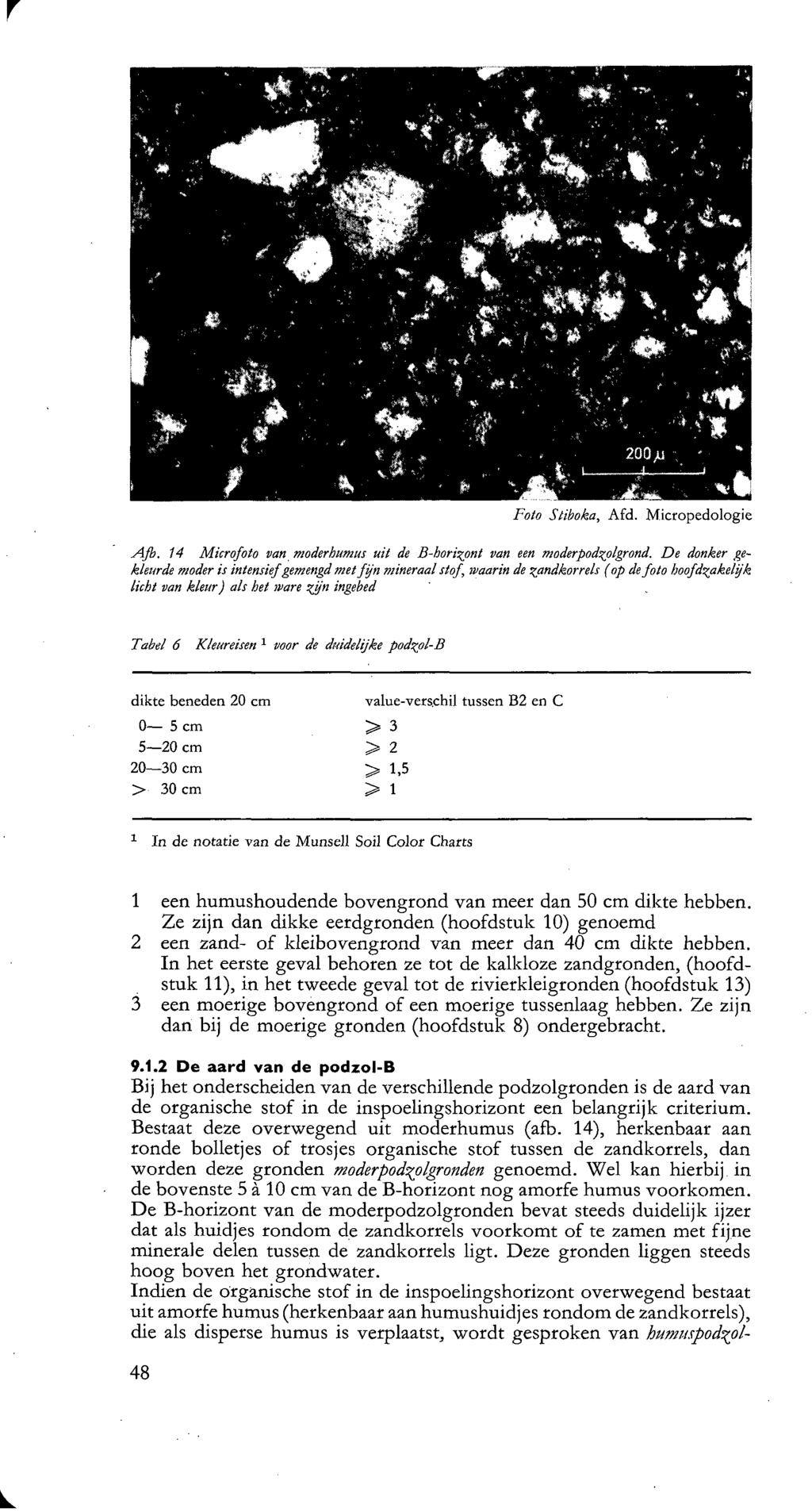 Foto Stiboka, Afd. Micropedologie Afl>. 1 Microfoto van moderhumus uit de B-hor i^pnt van een moderpod^plgrond.