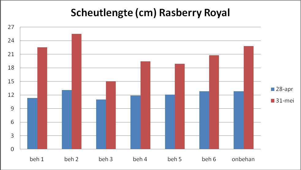 Figuur 3 : Gemiddelde scheutlengte Raspberry Royal Figuur 4 :