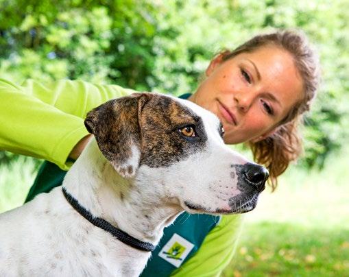 12 13 Landelijke dekking, regionale en locale focus De Dierenbescherming streeft de rol van regie-organisatie op de keten na en wil werken aan een landelijke dekking.