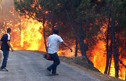 Natuurbranden Dit ramptype omvat grote tot zeer grote natuurbranden, met name: Bosbranden Heidebranden voor zover deze bedreigend kunnen zijn