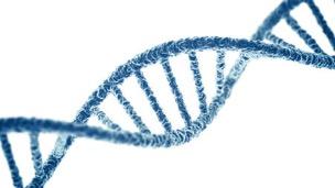 Een fout in het DNA Niet erferlijk Wel