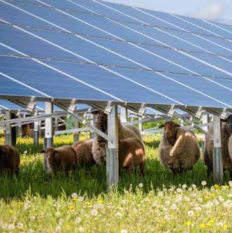 Uw dak in goede handen bij Dapan Solar Dapan Solar biedt voor ieder dak een passende oplossing voor de opwek van zonne-energie, voor een