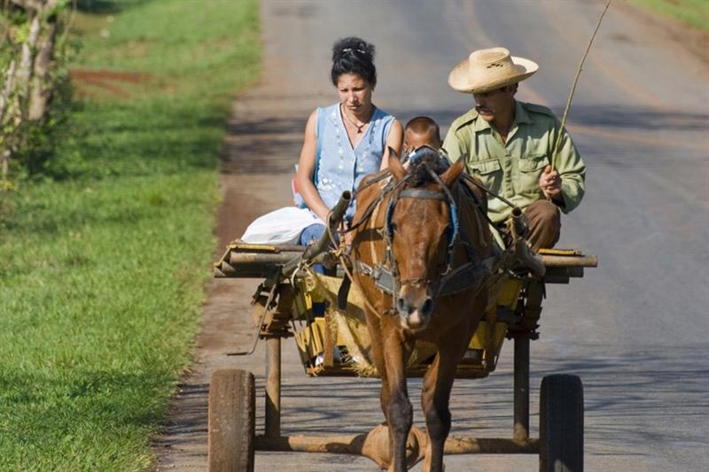 Dag 10 Camagüey - Sierra Maestra Een lange reisdag vandaag! Je reist verder langs suikerrietplantages naar de Sierra Maestra.