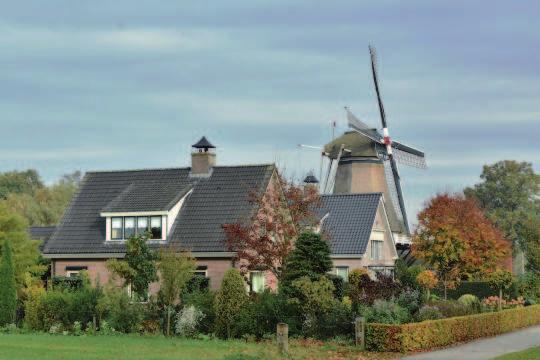 Nu, dit jaar konden we al toeristisch rijdend over de Veluwe genieten va n de mooie herfst k leuren.