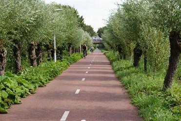 Er zijn twee invalswegen vanuit de stad, de Gooimeerlaan en de IJsselmeerlaan, die uitkomen op een ringweg, die de naam van diverse Nederlandse meren draagt.