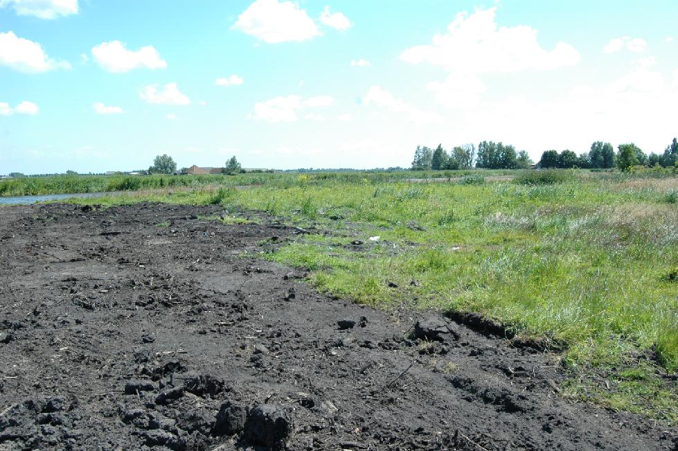 Afbeelding 2: Het zuidoostelijke deel van de onderzoekslocatie. 2. Verwachtingsmodel In het bureauonderzoek (Van Weenen & Klooster, 2009) is een archeologisch verwachtingsmodel voor de onderzoekslocatie opgesteld.