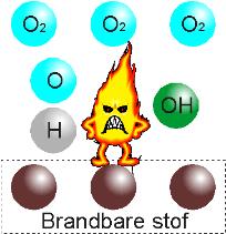 De stabiele eindproducten zijn onder andere kooldioxide (C2O) en water (H2O).
