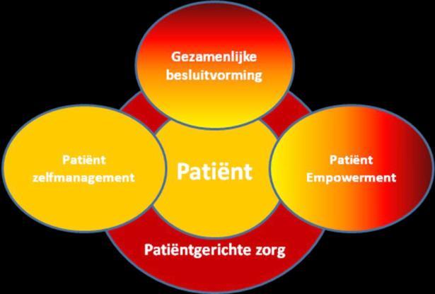 Uit: Shared Decision Making & Zelfmanagement, Achtergrondstudie t.b.v.