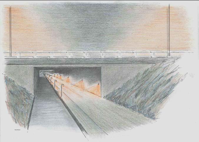 15, 3.16 en 3.17) Donkere zone(s) in tunnels blijven waar mogelijk vanuit veiligheid oogpunt behouden, of worden ingericht met vleermuisvriendelijke verlichting.