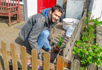 Een daktuin zorgt voor meer insecten, een betere afvoer van regenwater, verkoeling en schonere lucht.