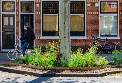 Bestellen, neerleggen, klaar! Een daktuin bestaat uit meerdere lagen met als fundament een wortelwerende dakbedekking.