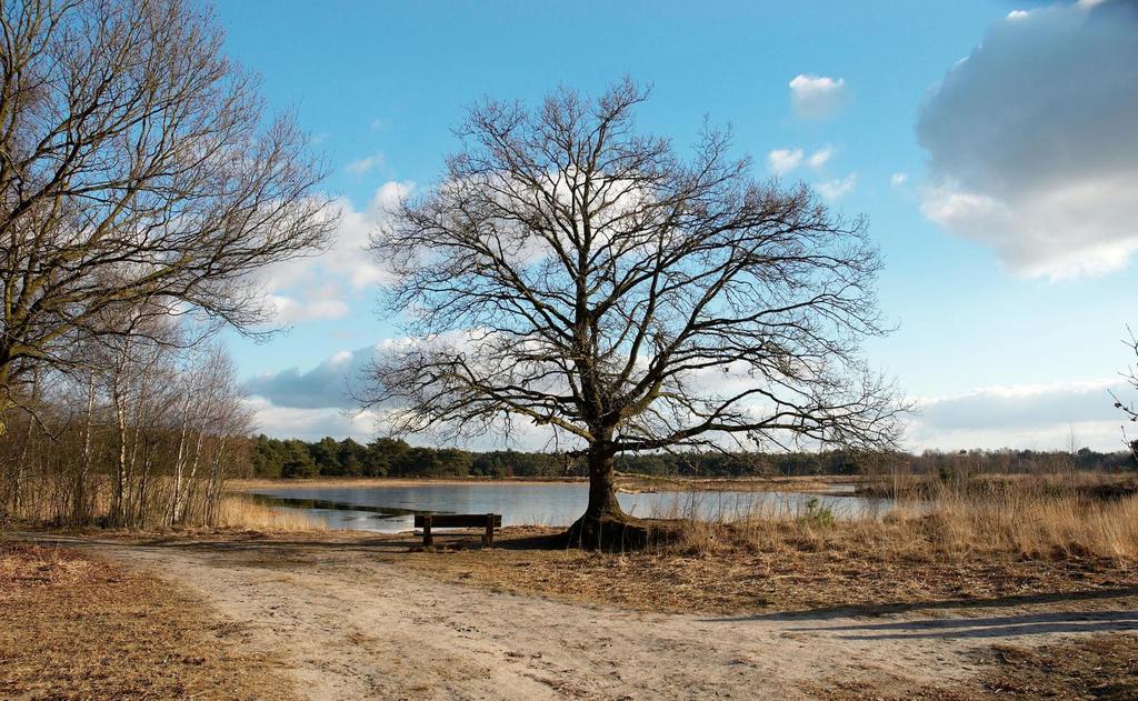 Het zijn kwetsbare systemen; de begroeiing is gevoelig o.a. voor verdroging en vermesting.