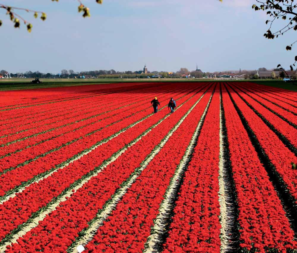 de romp Het landschap is bij de romp weids en open. Zichtlijnen reiken tot aan de horizon.