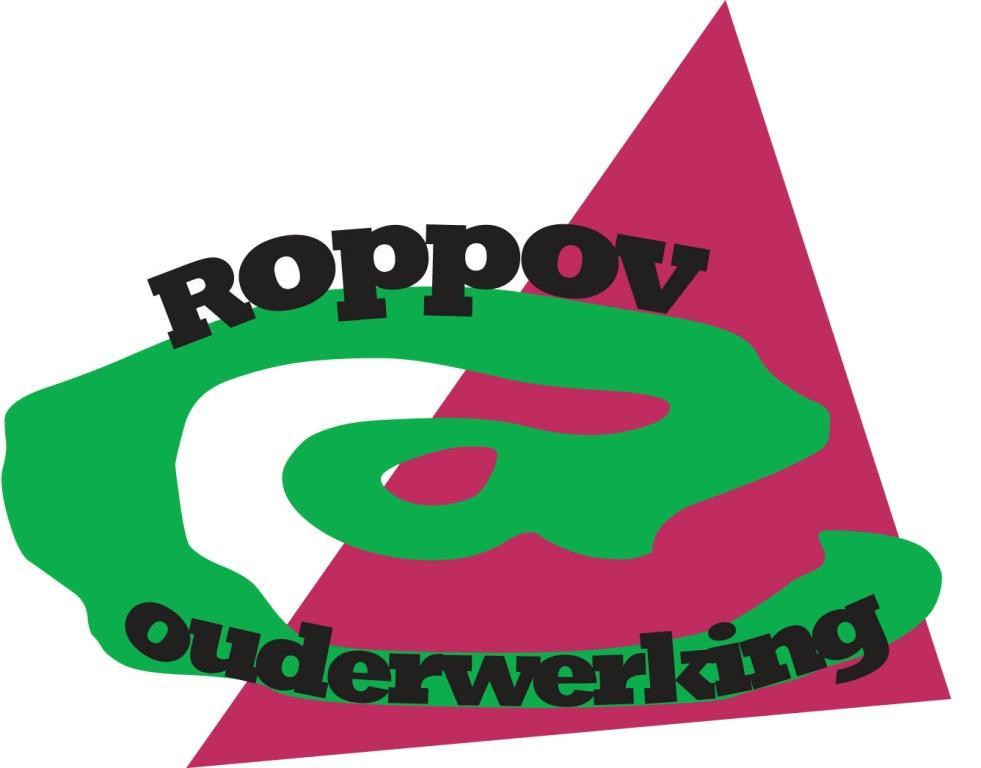 Jaarverslag Vzw Roppov werkjaar 2013