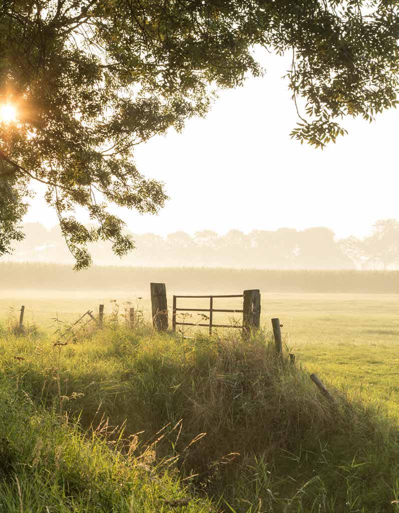 Avontuurlijk wonen 8