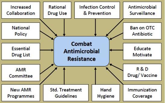 goed vaccinatieprogramma en een adequaat bioveiligheidssysteem het gebruik van antibiotica bij dieren verminderen.