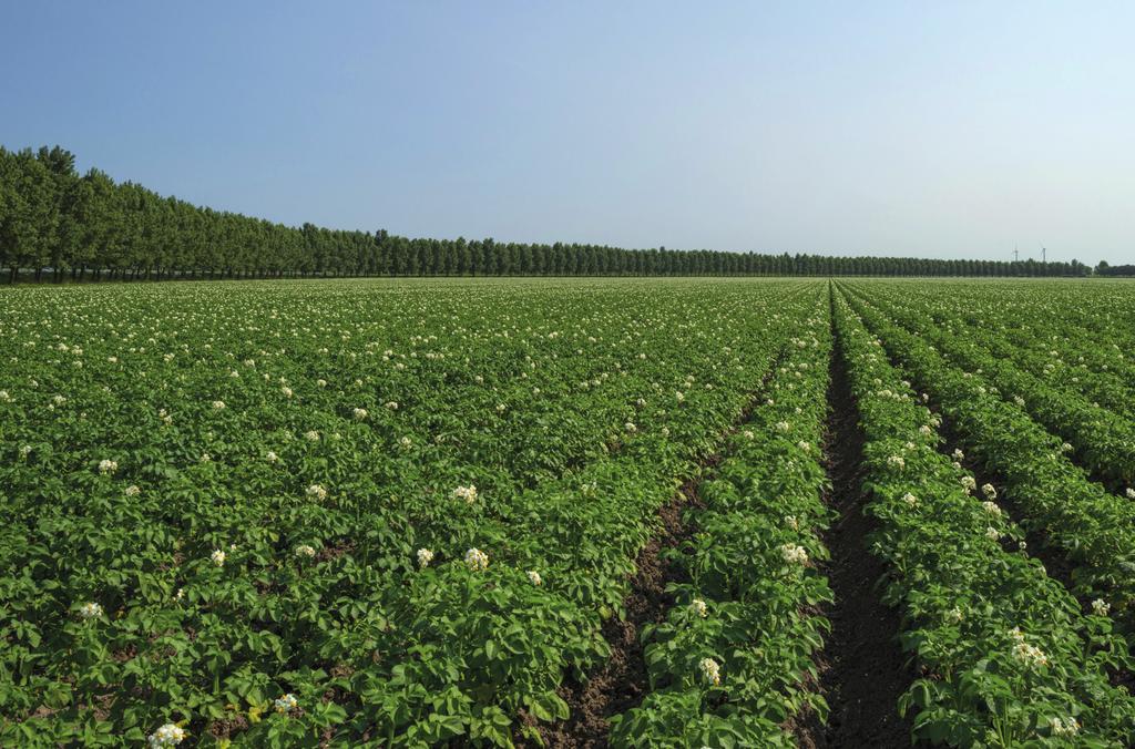 van Akkerweb kunt u taakkaarten maken voor het variabel bijbemesten in consumptie aardappelen De App biedt u mogelijkheden om informatie