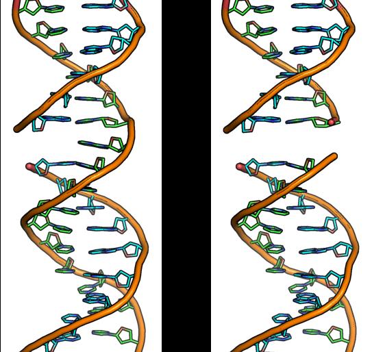 Waarom DNA knippen?