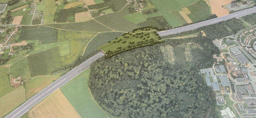 Figuur 103: collage mogelijke landschappelijke overbrugging Laarbeekbos Figuur 104: conceptsnede A huidige situatie (rode lijn =