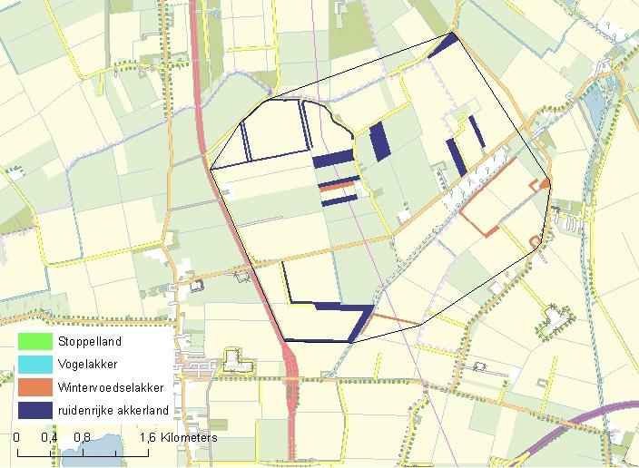 Factsheet Het tellen van wintervogels ten behoeve van beheermonitoring van akkervogels Welke soorten?