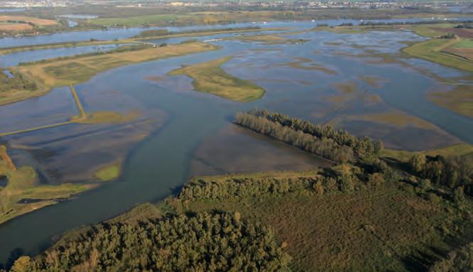 Door klimaatverandering warmt het water op en ook boven land stijgt de temperatuur. De winters worden natter en in de zomer kunnen we vaker stortbuien en langdurige droogte verwachten.