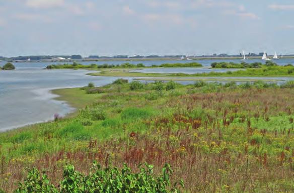 Planten en dieren zullen zich geleidelijk verplaatsen naar regio s waar ze zich kunnen handhaven.