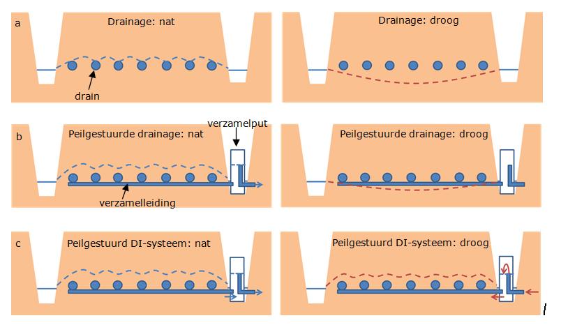 6 Mogelijke oplossingsrichtingen In dit hoofdstuk beperken we ons tot enkele oplossingsrichtingen gericht op het perceel zelf. Het betreft dus geen oplossingsrichtingen in het oppervlaktewatersysteem.