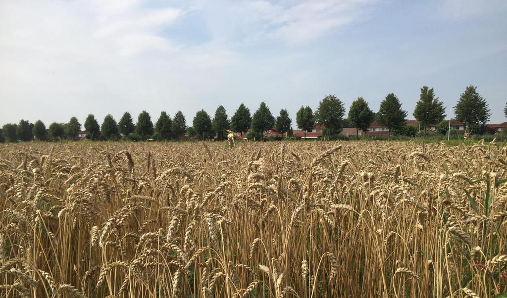 Vananuit Landschap Overijssel zijn dat natuurgronden en vanuit BPD gronden die in het verleden zijn aangekocht met de verwachting er in de toekomst te kunnen bouwen en die nu tijdelijk of permanent