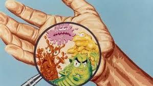 bacteriën 1.