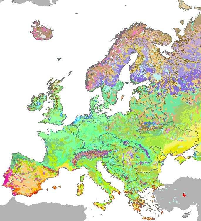 Nederland heeft een bijzondere positie in de Noord-Europese laagvlakte Map of the Natural Vegetation of Europe (Bohn et al.