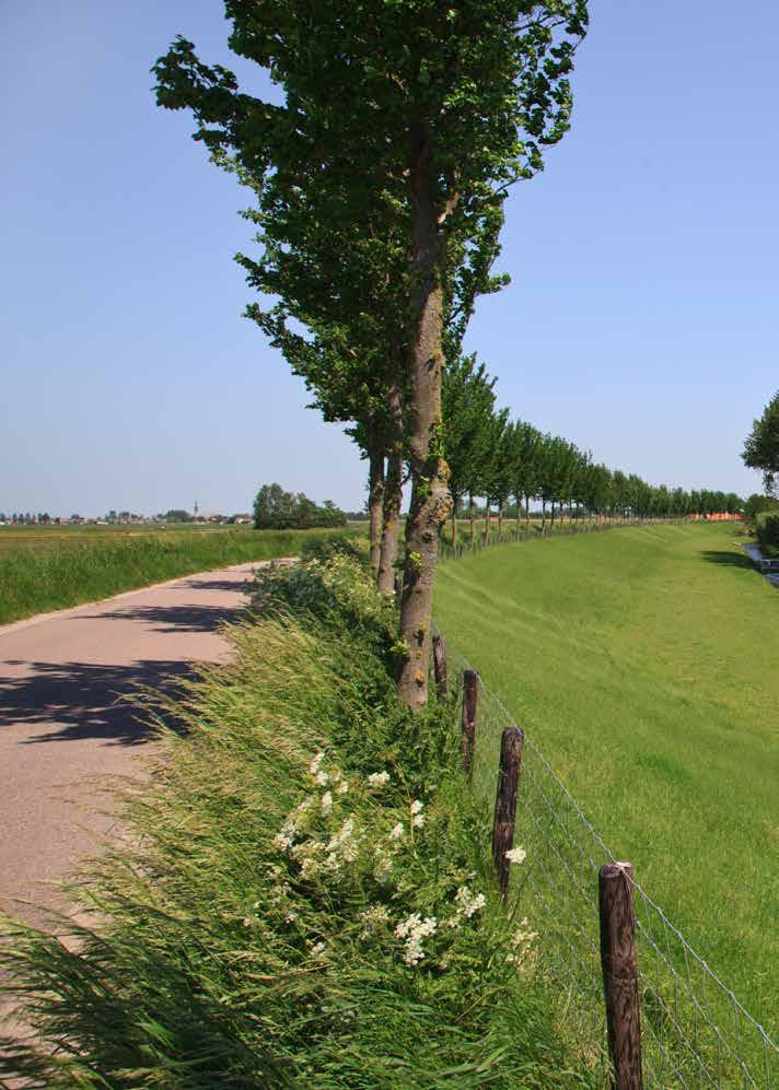 2. Missie en visie De werelderfgoederen in het Koninkrijk der Nederlanden zijn door UNESCO betiteld als van uitzonderlijke waarde, uniek en enig in zijn soort.