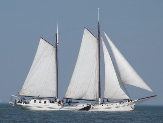 We varen vijf dagen lang op het schip Atalanta over de Waddenzee.