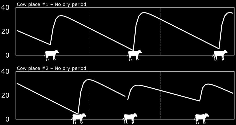 Melkproductie (t/ jaar) Voorbeeld simulatie ( dagen droog) Opgeteld per koppel (1 koeplaatsen) per jaar 5 koppels per droogstandslengte Melkproductie per koppel per jaar 9 85 jaar 1 jaar 2 jaar 3 8