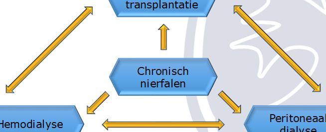 Niertransplantatie niertransplantatie - volgt Voor start dialyse