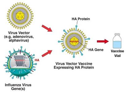 Richtlijn influenza [pdf]. Verkregen via: https:// www.snpg.