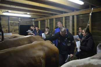 Gelukkig werden we in Putten in het bedrijf van familie Wellenberg hartelijk onthaald en na een sneak-preview van het vee en het eerste kopje koffie, vloeide de ergste spanning bij de meesten weg.