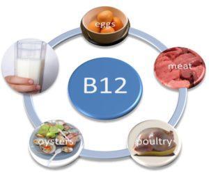 Grndstffen Vlees Samenstelling 70-75% water 20-22% prteïnen 2-4% vet Mineralen: Ijzer, zink, Vitaminen: rijk aan B-vitaminen - Waterplsbaar => vral in mager vlees - B1 (vral