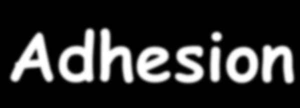 Adhesion Attraction between two different substances.