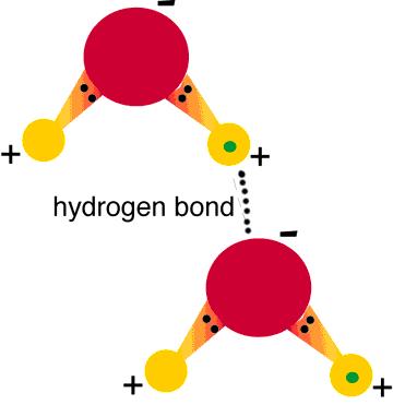 between a highly electronegative atom