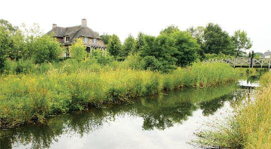 De gehele tuin is omringd door een brede