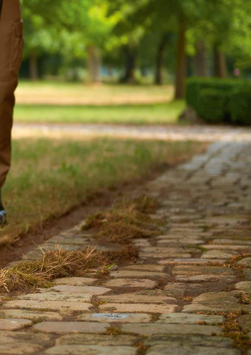 OP VOLLE KRACHT TUINIEREN TUINGEREEDSCHAP Van de gazontrimmer via de verticuteerder naar de frees en door naar de graskantensnijder: ons Cub Cadettuingereedschap op benzine