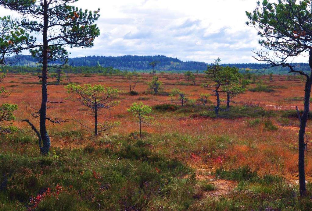 Finland heeft in de 70er jaren