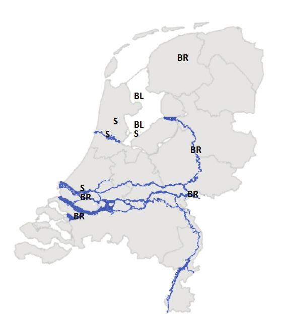 2 Materiaal en methoden 2.1 Monstername en voorbewerking schubvis De bemonstering en voorbewerking van de vis is verzorgd door IMARES in het najaar van 2011.