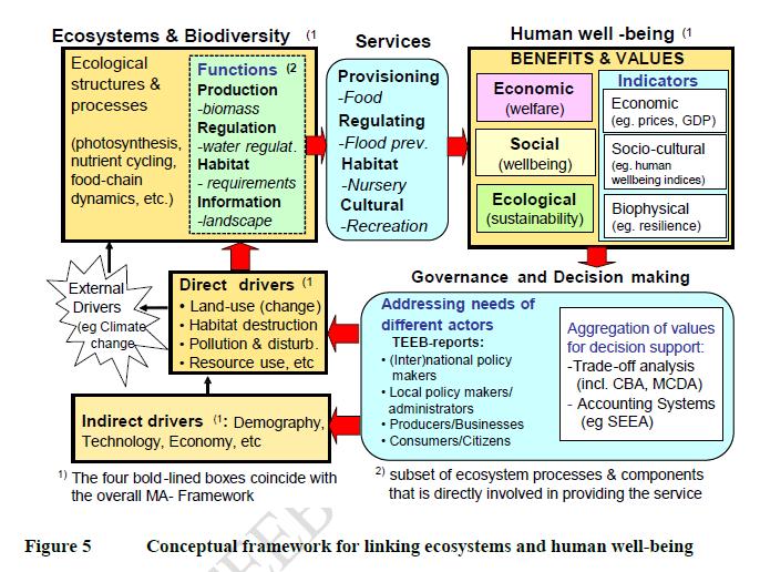 Biodiversiteit en