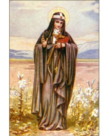 Bezinning uit kader. Brigida van Kildare Vrouw en patrones van de landbouw 1 februari is de gedenkdag van Brigida van Kildare (453-525). Deze Ierse vrouw is de beschermheilige van landbouwers.