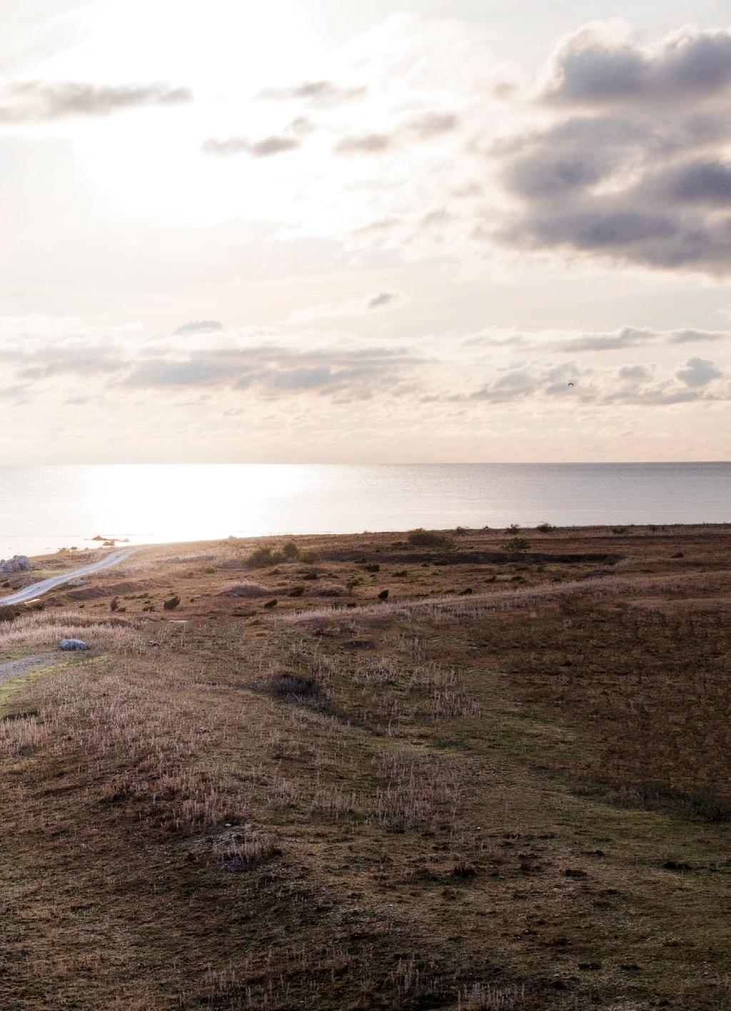 Licht en duisternis Warmte en koelte Accenten en pauzes We zien het overal Aandacht voor