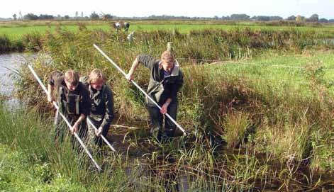 De belangrijkste vondst bij de knoflookpad is gedaan in Twente bij het Denekamperveld. Gevreesd werd dat de soort uit dat deel van Overijssel verdwenen was, maar dat is dus niet het geval.