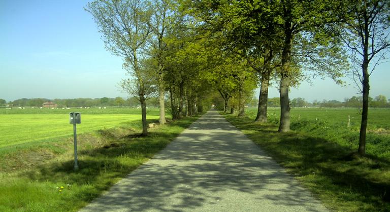 Kuiper Het leven in een Dorp